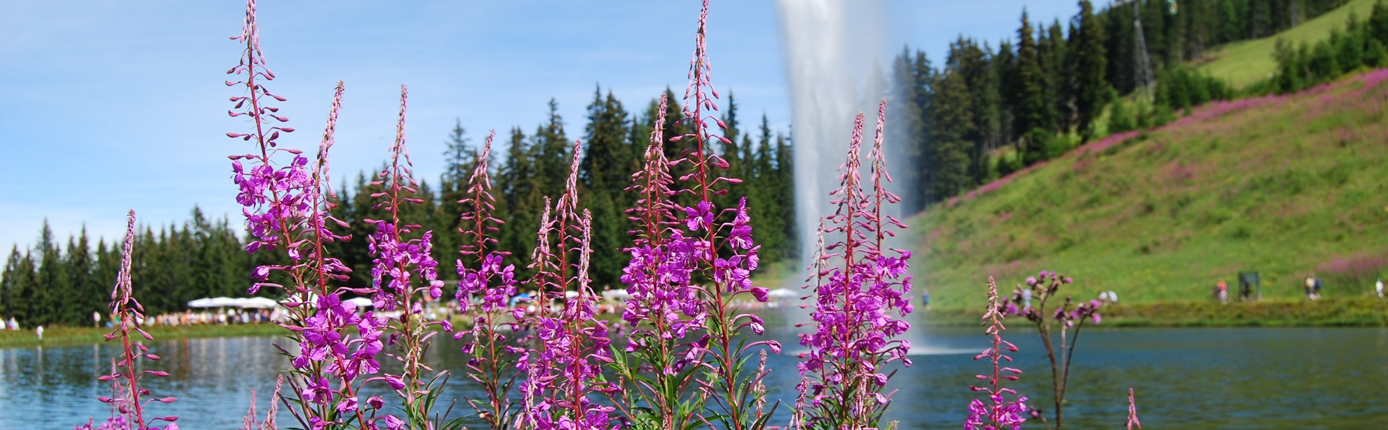 Rupertisee hiking destination © TVB Wagrain Kleinarl